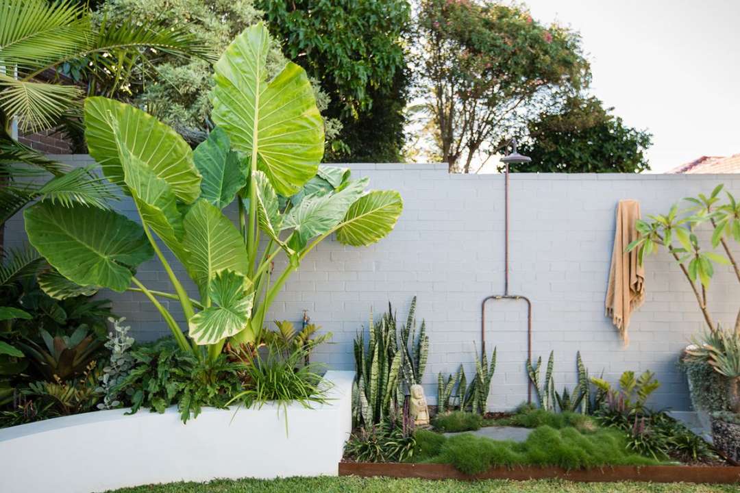 Tropical garden ideas - how to create a lush feel  Livingetc