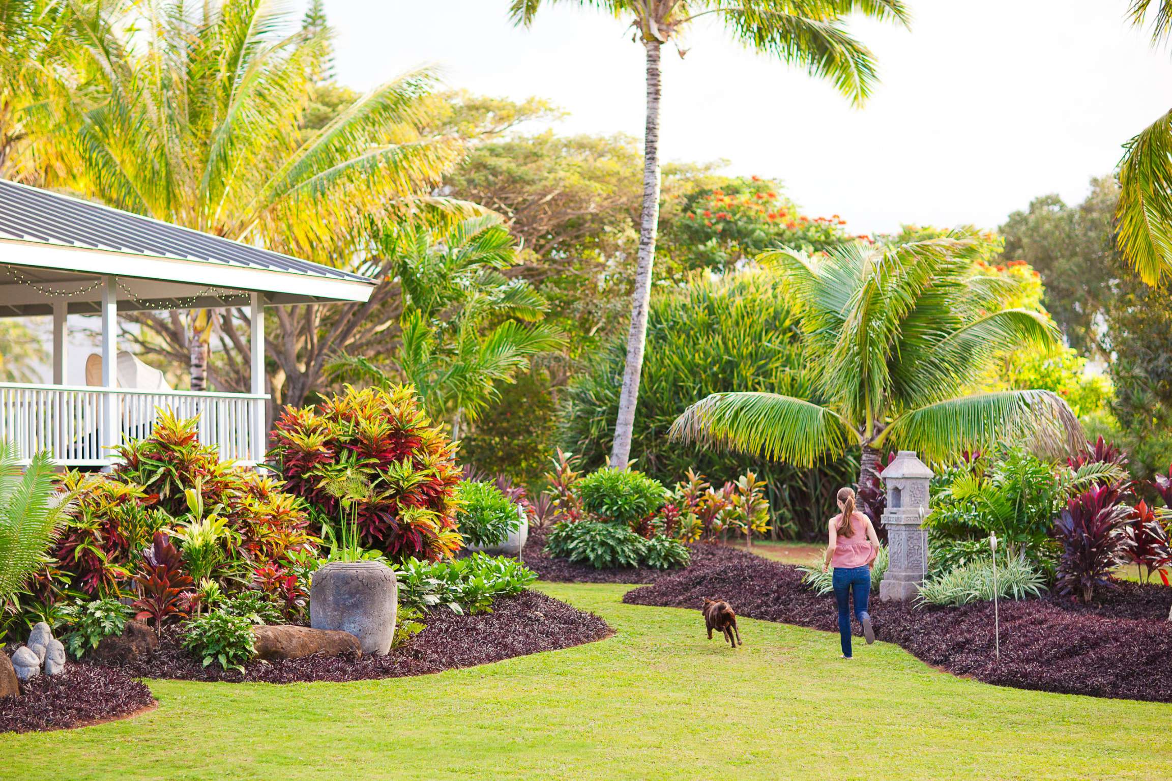 Tropical Yellow Landscaping Ideas You