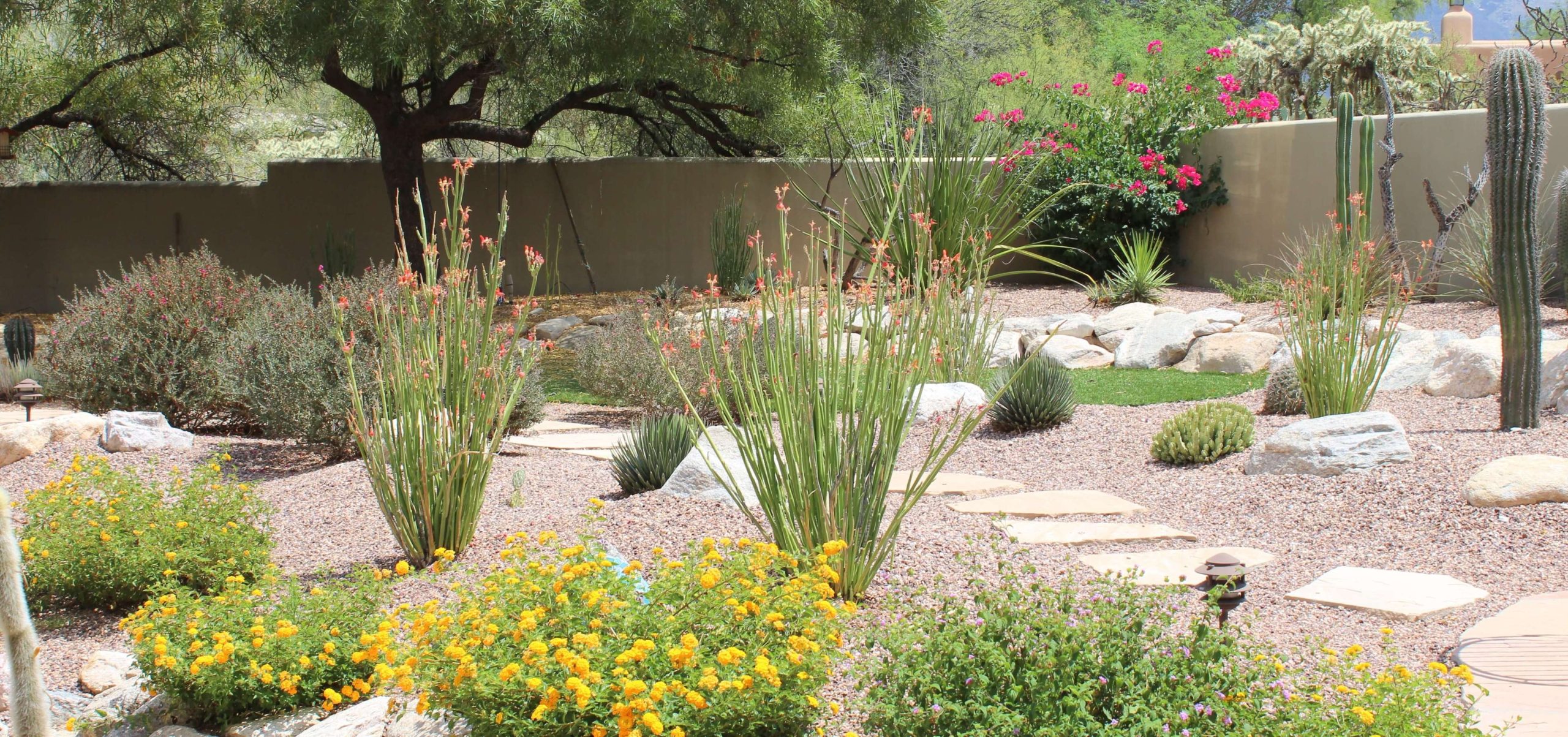 Tucson Landscaping Services  Horticulture Unlimited