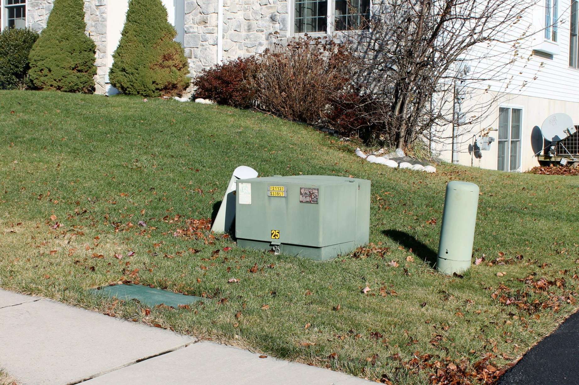 What to plant in front of a utility box: Gardening Q&A with George