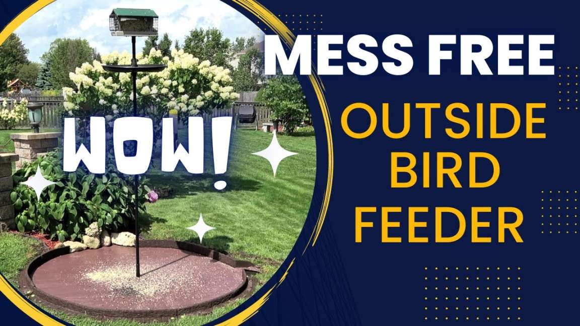 "Wow" to keep mess free under outdoor bird feeder