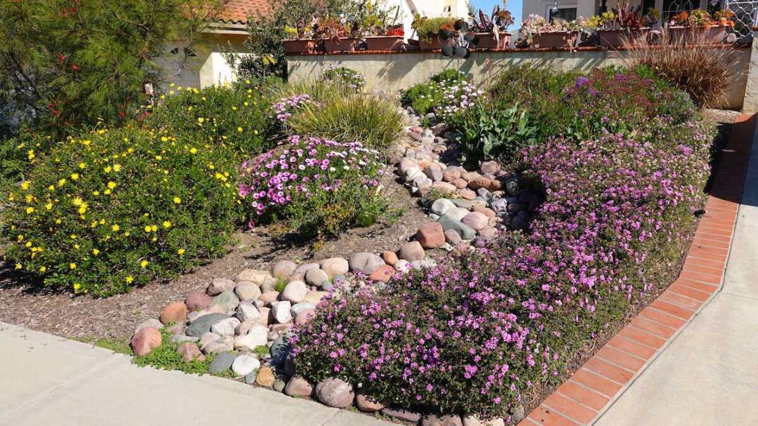 Xeriscape Texas: A Guide to Water-Wise Landscaping in